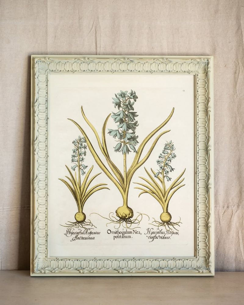 Framed Botanical Prints for Soft Visual Balance