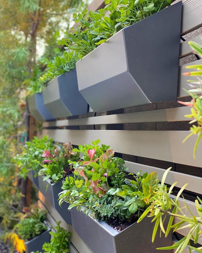Vertical Wall Planter Grid