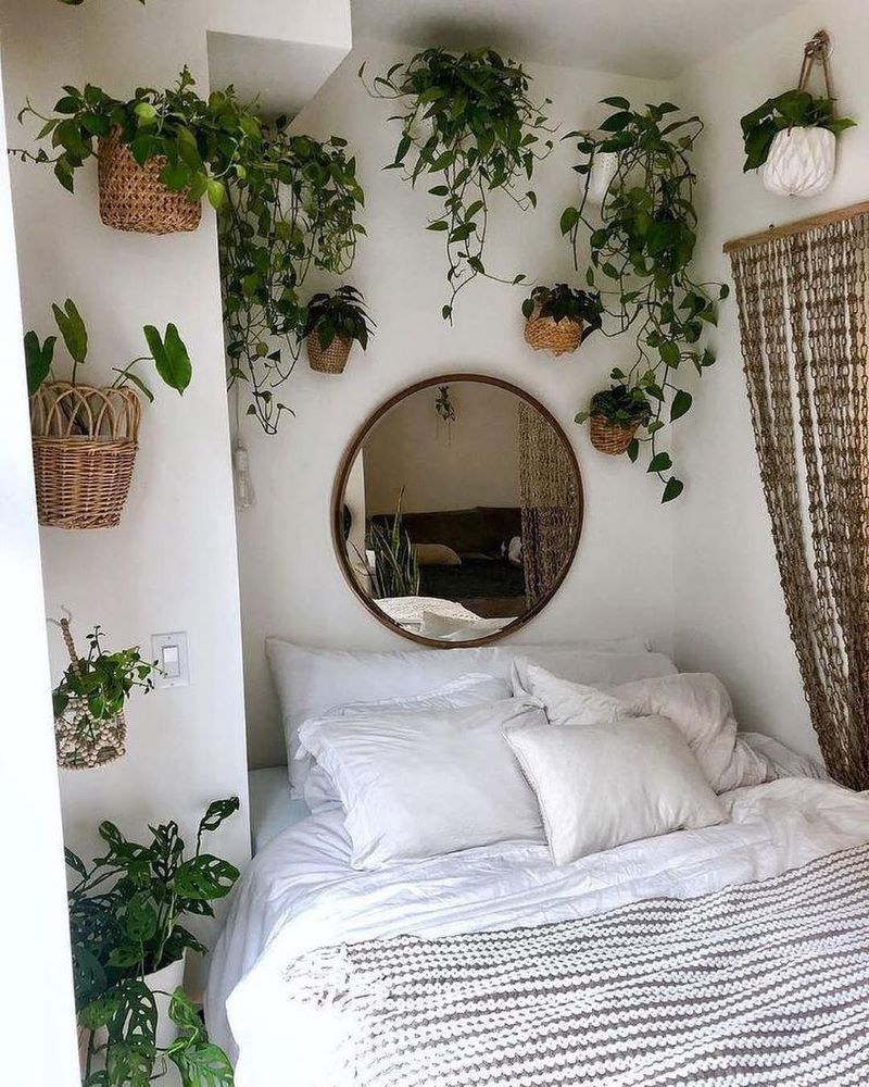 Hanging Planters on Walls